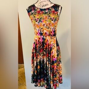 Cynthia Rowley Watercolor Floral Sleeveless Boatneck Dress Women’s Size 4